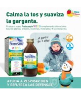 NA.PROTECSAPIN JARABE KIDS 250 ML.