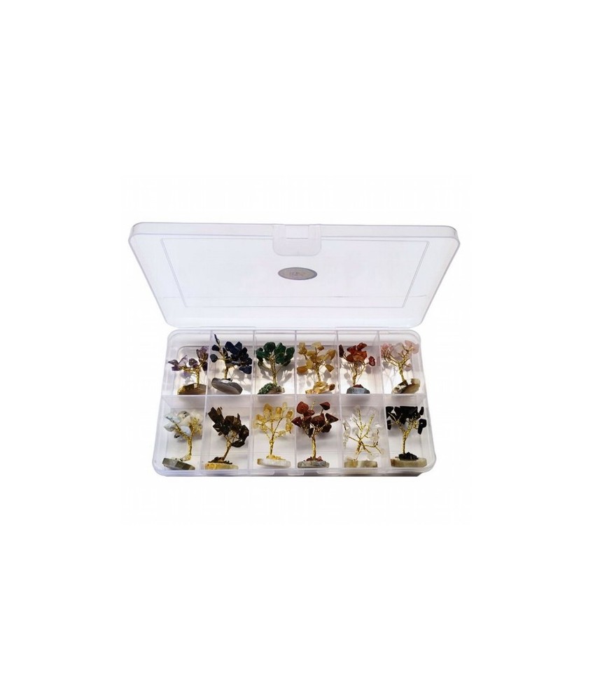 Árboles mini surtidos compuestos de 15 piedrecitas chip (aprox.). La caja incluye 12 árboles mini de 3 cm aprox. de diferentes 