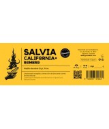 TRI.SALVIA CALIFORNIA ROMERO 25 GR. 10 CM