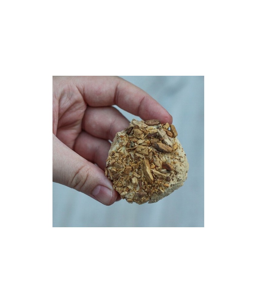 SD.PASTILLA DEFUMACION ACTIVADA PALO SANTO