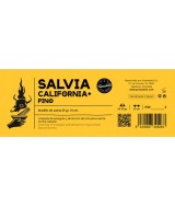 TRI.SALVIA CALIFORNIA PINO 25 GR. 10 CM