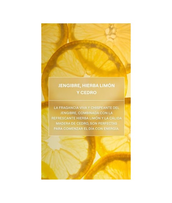 WE.GEL DUCHA CREMOSO CITRONELA REFRESH 400 ML.