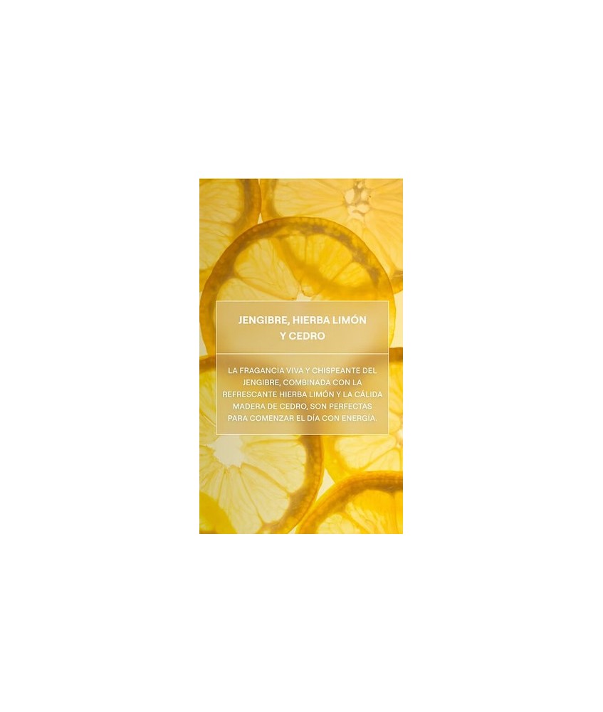 WE.GEL DUCHA CREMOSO CITRONELA REFRESH 400 ML.