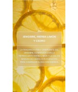 WE.GEL DUCHA CREMOSO CITRONELA REFRESH 400 ML.