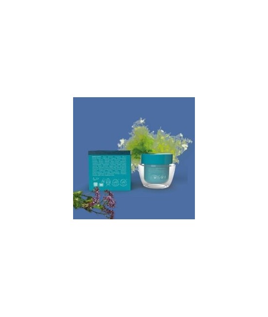 Breezy Sleep Mask, 50 ml. es una mascarilla facial sin aclarado de la línea Sea Beauty de Prisma Natural.

 

Mascarilla fa