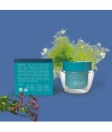 Breezy Sleep Mask, 50 ml. es una mascarilla facial sin aclarado de la línea Sea Beauty de Prisma Natural.

 

Mascarilla fa