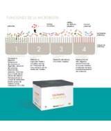 PR.GLUTAMINA + PROBIOTICO 30 STICK