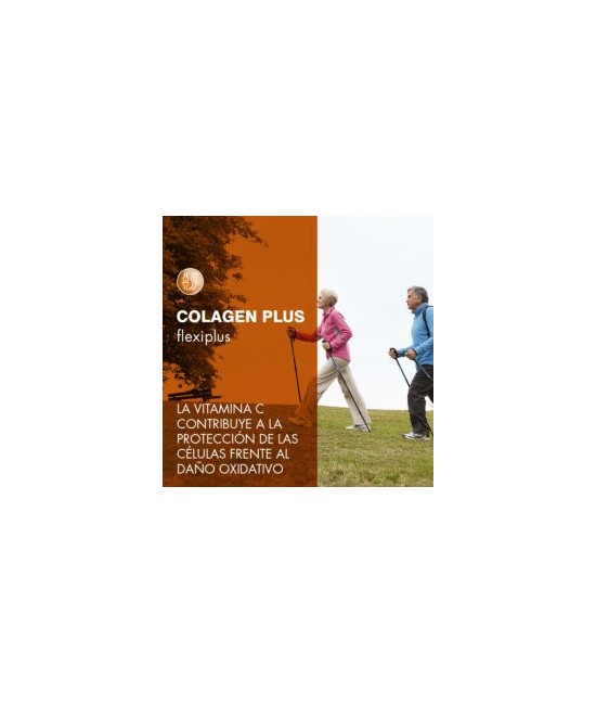 PR.COLAGEN PLUS FLEXI MARINO 300 GR.