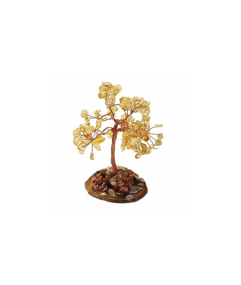 Árbol compuesto de 110 piedras chip (aprox.) de Citrino (de 0,5 a 1 cm).

Base de chapa de Ágata con piedrecitas chip variada