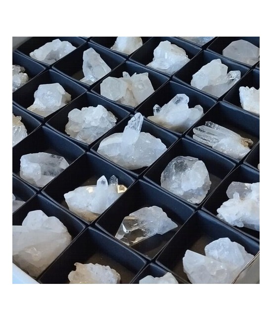 Drusa de Cristal de Roca en caja de 4x4cm.
Tamaño de las piezas: 3-4 cm aprox.
