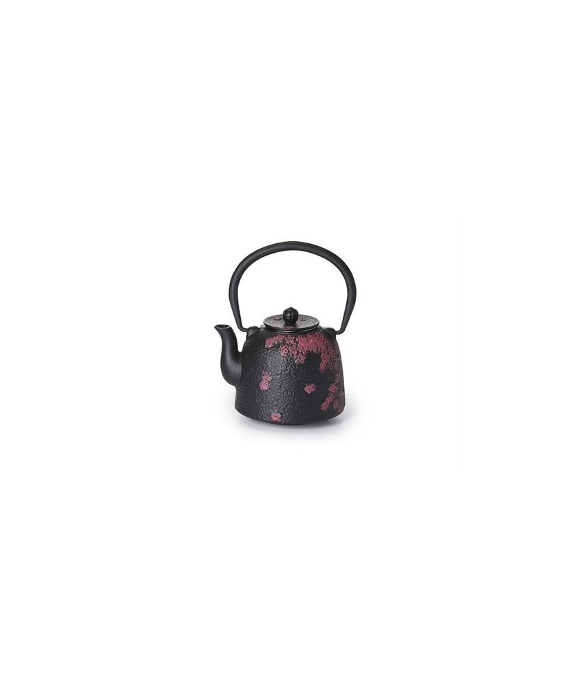 DB.TETERA HIERRO NEGRA FLORES CHUN 0,5 L.