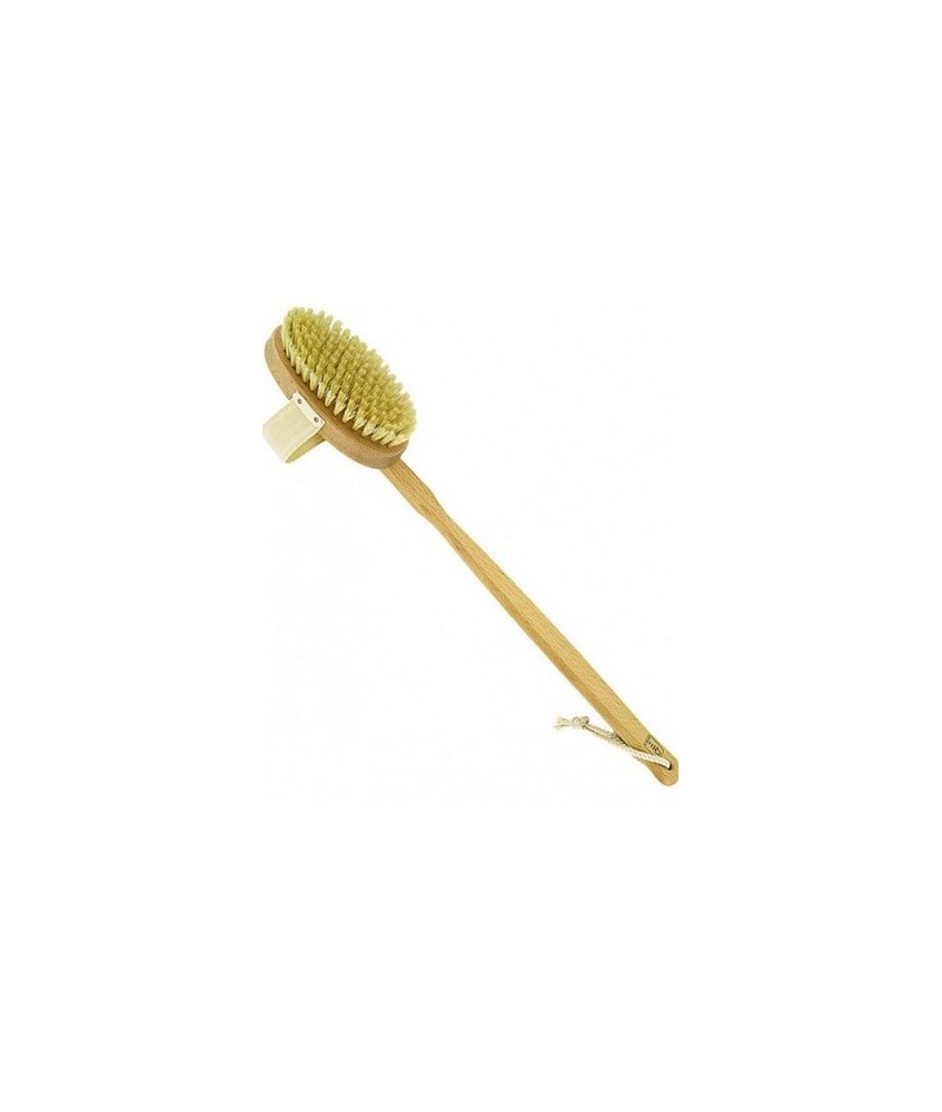 Cepillo corporal de madera de haya proporciona una exfoliación suave  profunda y favorece la circulación.

Ayuda a eliminar l