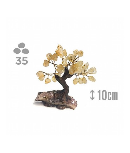 Árbol compuesto de 35 piedras de Citrino (de 1cm aprox).

Base de drusa de Amatista.

Medida: 10cm de alto aprox.