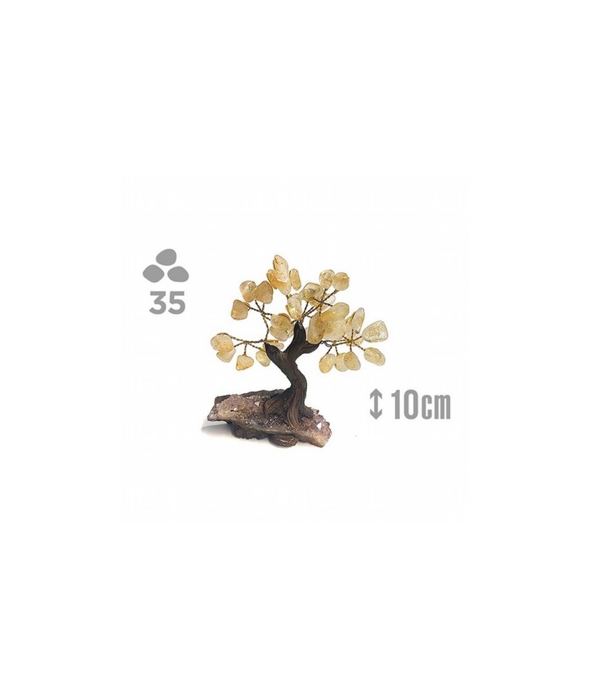 Árbol compuesto de 35 piedras de Citrino (de 1cm aprox).

Base de drusa de Amatista.

Medida: 10cm de alto aprox.