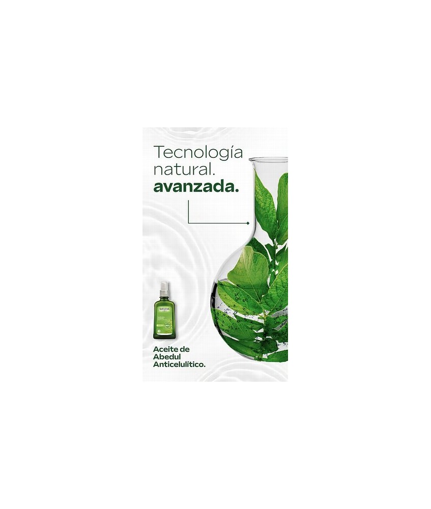 WE.PACK ABEDUL CELULITIS NUEVO 2026