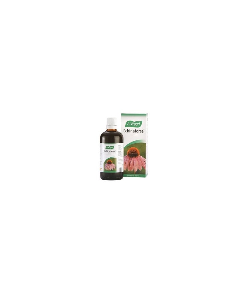 En los años 50 del s.XX, Alfred Vogel conoció de la mano de Alce Negro, jefe sioux, los beneficios de la Echinacea. Llevó sus s