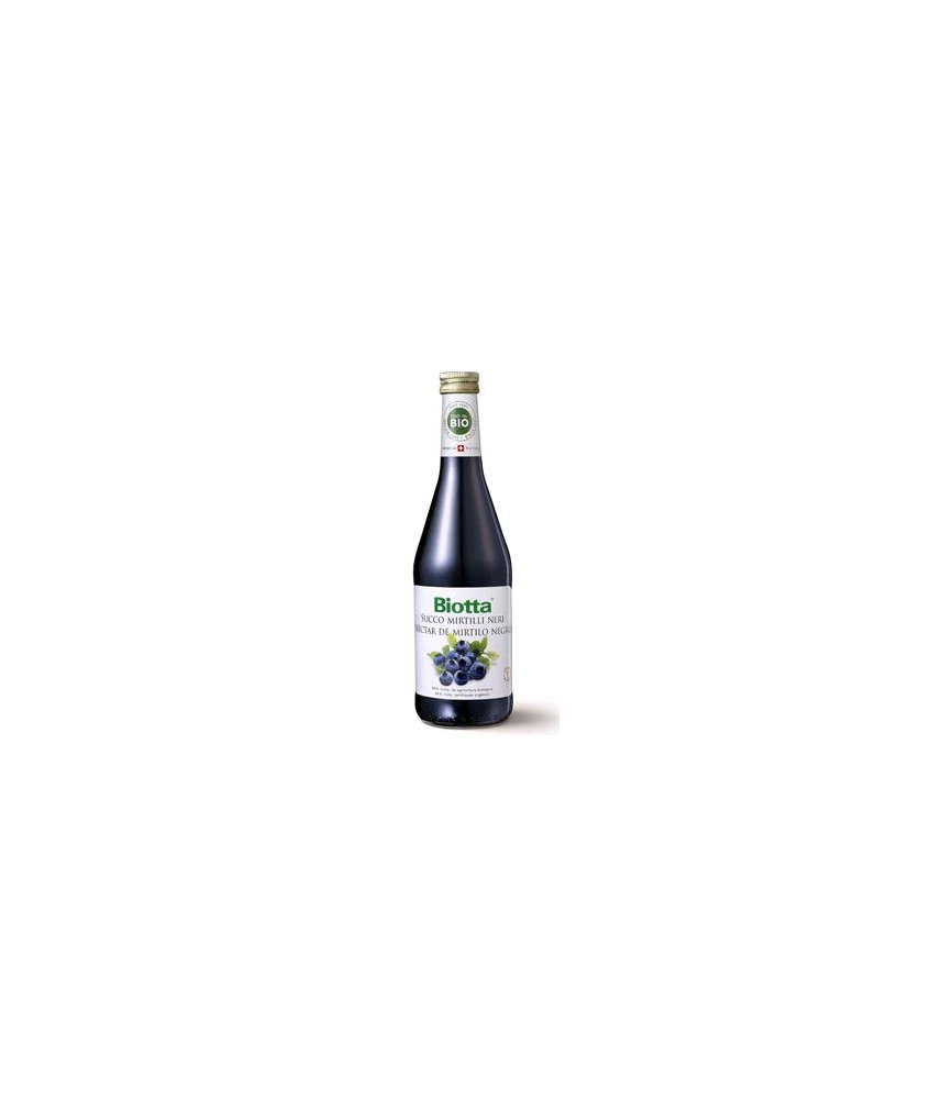 El mirtilo o arándanos es reconocido desde la antigüedad como una baya deliciosa y apreciada por sus cualidades y por su extrao
