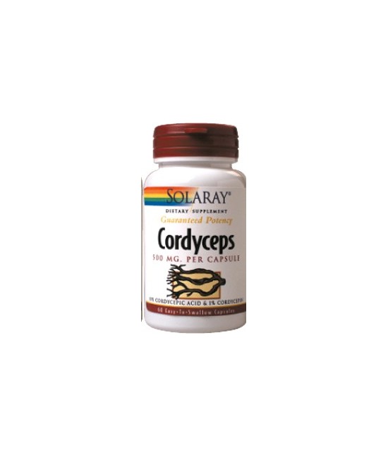 Cordyceps ext. 500 mg - 60 cápsulas

Descripción
El Cordyceps es muy apreciado y ha sido utilizado en Medicina Tradicional C