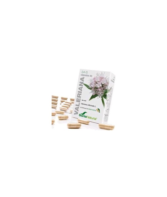Valeriana officinalis L. ( raíz).

Aceite esencial...............4,2 mg; ( 0,7 mg / cápsula).

Ácido valerénico............