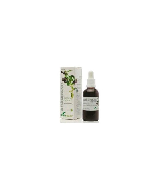 Extracto seco de hojas de *Vaccinium myrtillus L. en glicerina vegetal.