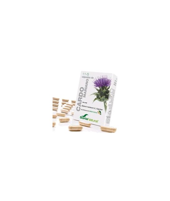 Silybum marianum Gaertn. ( semillas).

Silibina...............36 mg; ( 6 mg / cápsula).