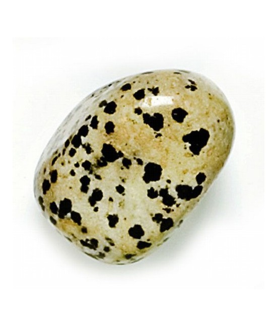 Mineral Rodado Grande de Jaspe Dálmata
Medidas: 30-40 mm.aprox de diámetro 
