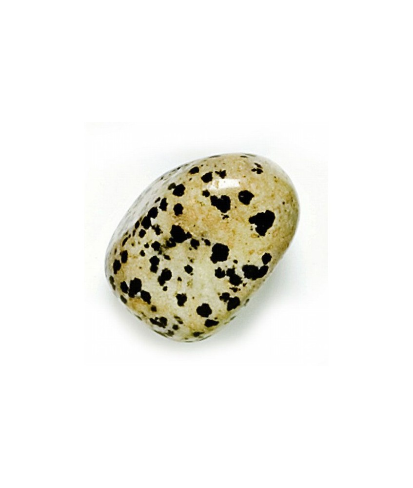 Mineral Rodado Grande de Jaspe Dálmata
Medidas: 30-40 mm.aprox de diámetro 
