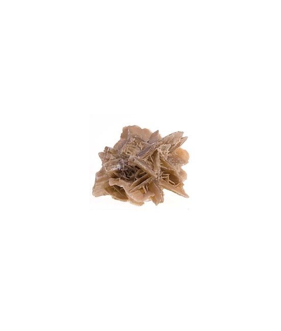 Especímenes de Rosa del Desierto, selenita, cristalizada procedente de Túnez.

Pertenece al sistema de cristalización monoclí
