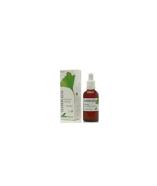 Extracto natural de hojas de Ginkgo biloba L. en glicerina vegetal.