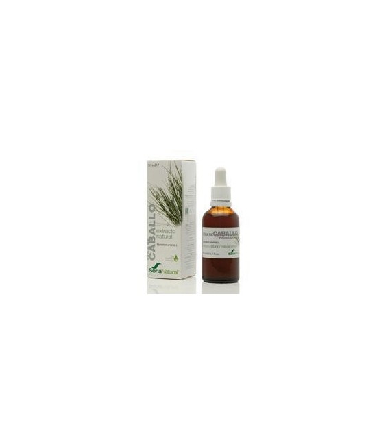 Extracto natural de parte aérea de Equisetum arvense L. en glicerina vegetal.