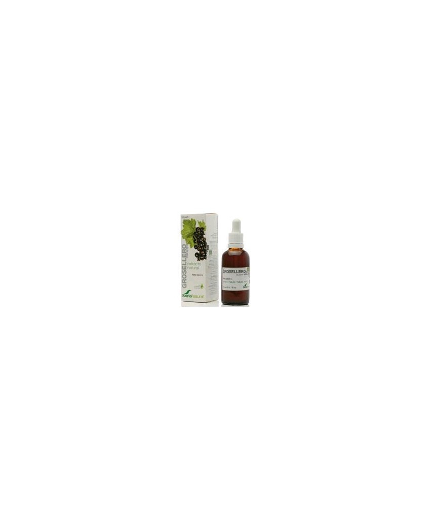 Extracto natural de hojas de Ribes nigrum L. en glicerina vegetal.