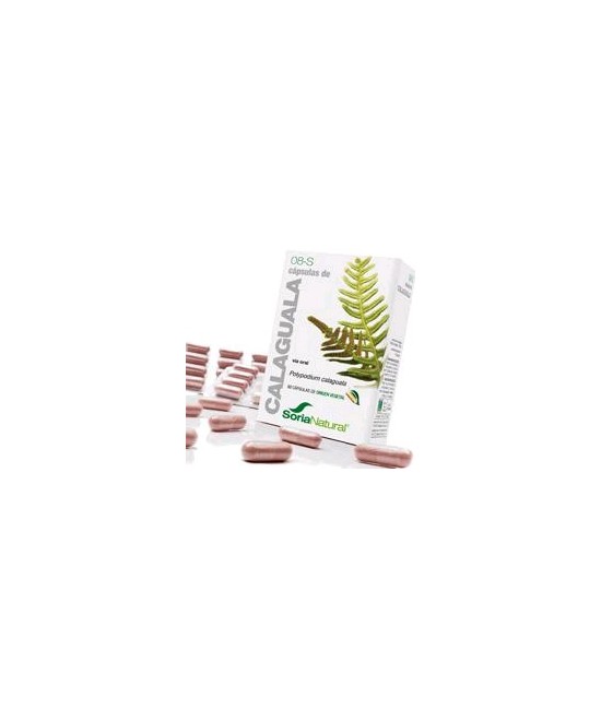 Polipodium calaguala L. (rizoma).

Saponinas.......................27,9 mg; (4,65 mg / cápsula).