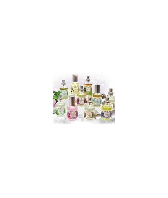 SS.PERFUME PULVERIZADOR VAINILLA 50 ML