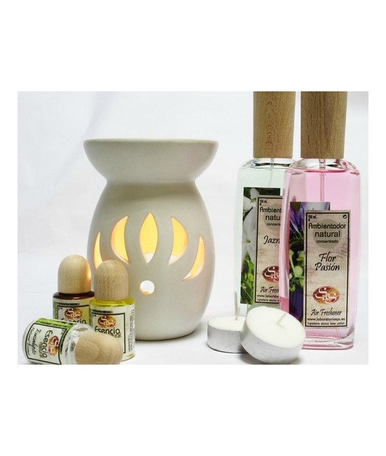 SS.AMBIENTADOR SPRAY FRUTOS ROJOS 100 ML